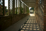 Pergola