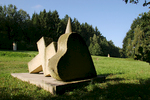 08_Slza