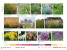 37_06 - 04 DIAGRAM - NÁVRH - ZELEN - TRAVINY - CIBULOVINY